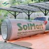 solmart xanh web2