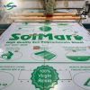 solmart3 cat