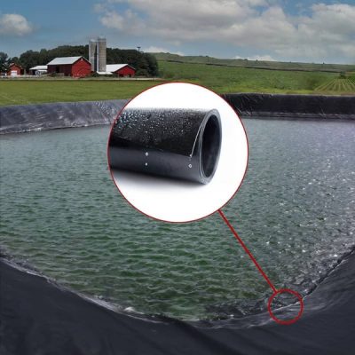 Mang HDPE lot ao tom ca 1