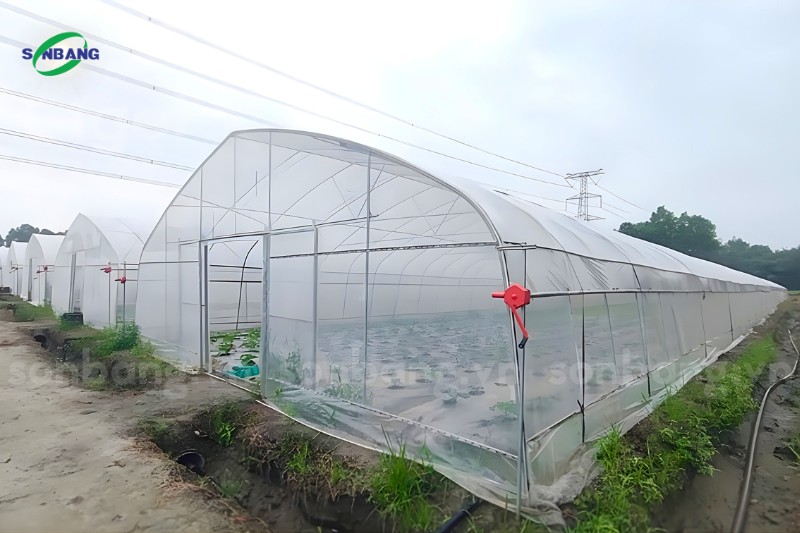 Xây dựng nhà kính bằng vật tư nông nghiệp canh tác