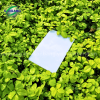 Tấm Poly Đặc 2.5mm SolMart chính hãng, bảo hành 7 năm - Ảnh 4
